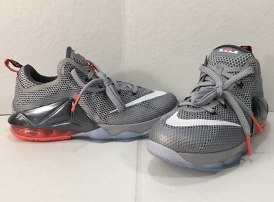 lebron x11